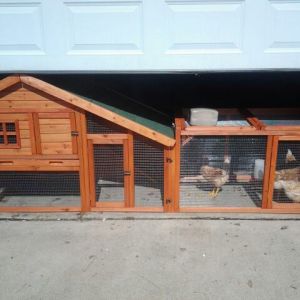 *
The hen house and run my dad and I built together.