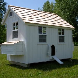 nesting boxes can be located on ends of house as well