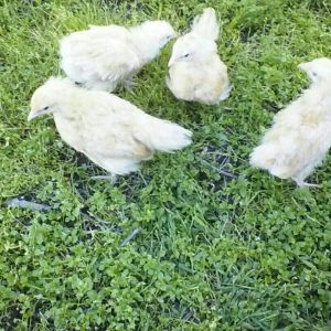 *
Big kids first trip outside.