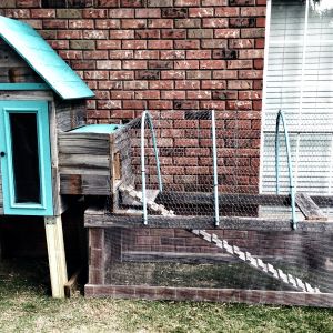 This is a picture of my coop made primarily of reclaimed fence wood.