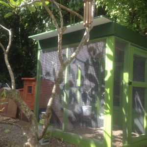 and then we rebuilt and added the green room