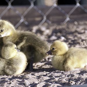 We're done for the morning