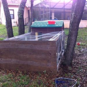 *
My hen house so far...90% recycled materials! Not pretty yet but the hens don't care :)