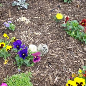 They are so active today