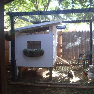 View of coop from the house.