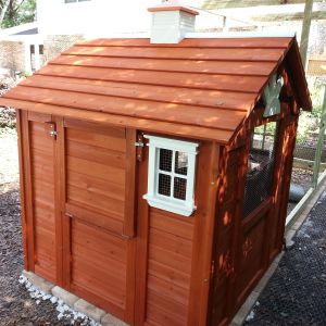 The little "trap door" next to the window provides easy access to the nesting boxes.