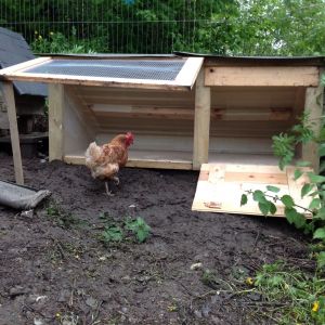 Coop made for hen & chicks when they hatch, from an old fibreglass porch roof & scavenged timber.