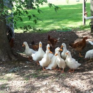 Now there are 8 of us !!