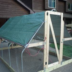 Capped off with a 12'x16' tarp and the coop is finished and ready to be moved to pasture. Just add chickens.