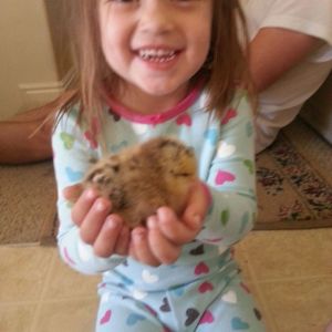 Daughter holding our chubby Buff Orpington.