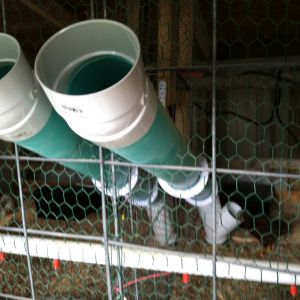 PVC feeders, 45 degree at the floor for the birds to access the feed.