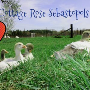 2013 babies chillin'.