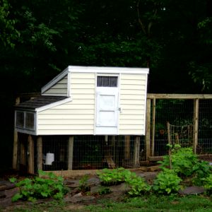 5x7 playhouse coop with 8x16 covered run