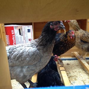 Playing hide and seek