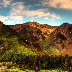 Denali National Park 2012