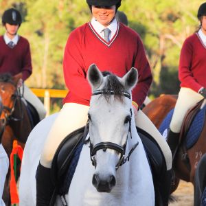 Winston Venture and Casy