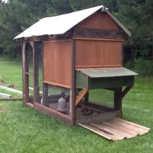 Old dove coop my grandmother wasn't using anymore