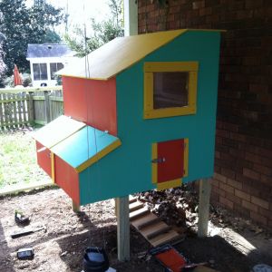 My new coop. I built this back in March of this year ('13) out of 1/2 inch oak plywood that I got for $22 per 4x8 sheet!! I painted it red, gold, and aqua for an island feel. It is enclosed in a 225 square foot area created by my master bedroom which juts out over the backyard. I framed in the areas between the support posts and covered it with hardware cloth. As you can see, the roof is also oak plywood. Since I have complete coverage from the elements, there was no need for any typical roofing. There are three nest boxes which is plenty for my nine chickens.