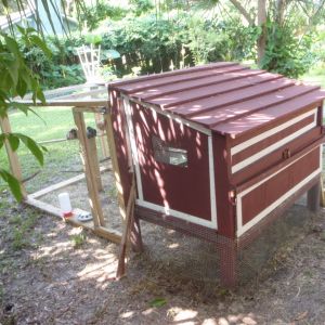 Finished Coop