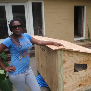 Used a plan from homedepot.com garden club.  Staff cut peices @ $.50-$1.00 per cut, I assembled the coop.  Takes 2 days to complete.