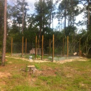 Finally I got the hardware cloth a foot down and burried around the proposed fence line.