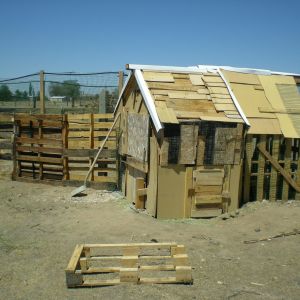 Back view of the coop and "corral".  You can see the big door for cleaning and the 2 nest boxes door and underneath is a door for the food and water.