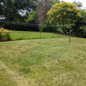 Back yard panorama for reference 2