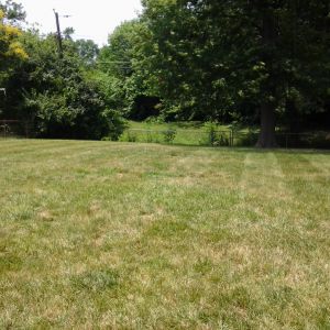 Back yard panorama for reference 3