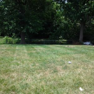 Back yard panorama for reference 4