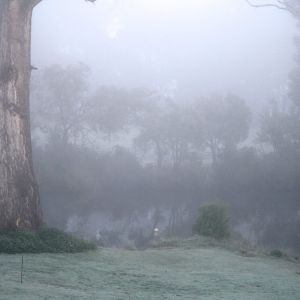 Misty July morning. Walton's inlet