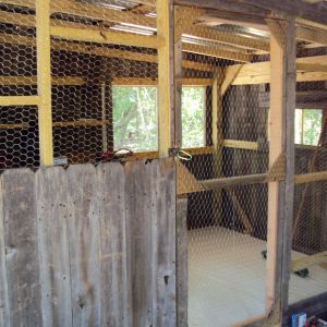 This is the chicken wire wall that divides the chickens half from the feed room.  There is also linoleum on floor of their side.