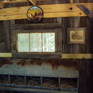 The girls nesting boxes and décor.  They took to them right away.