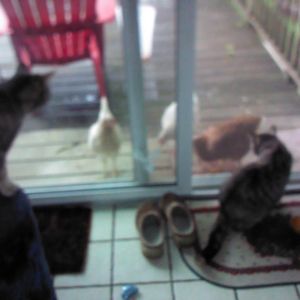 The girls want to visit