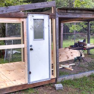 This is a door off a camper trailer that was repurposed. I also framed the external nesting boxes in.