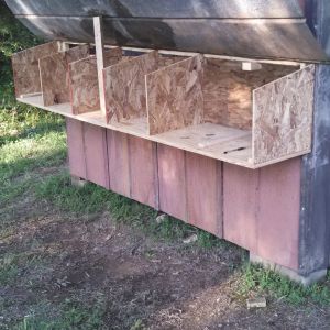 Here I've started on the nesting boxes. I had to stop because of bad weather coming, so the piece of temporary metal went on to protect the OSB board from the rain. I will keep posting new pics until its finished.