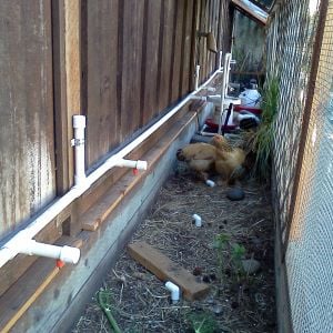 New poultry nipple watering system added.