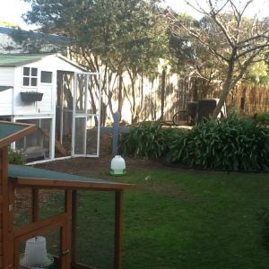 Our yard with our two coops