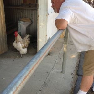 Hercules & my dad bonding