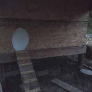 Egg shaped coop door "pop" hole
