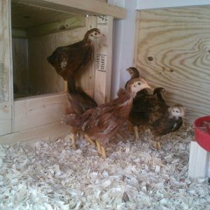 *
The day they moved in.