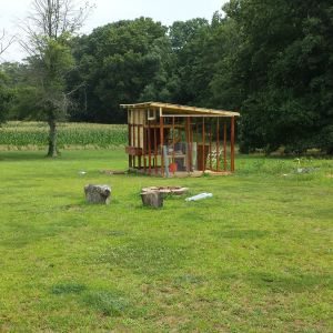 My daughter worked with me today to put a wood protector on the studs, I was only looking to cover the untreated wood but for looks it will need to go at least up to the rafters.  Door, last two sides and wire the coop left to do.