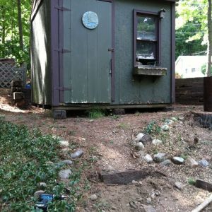 Shed that we turned into a coop!