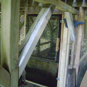 you'd never know we had an aviary