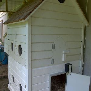 The front of the "new" coop.