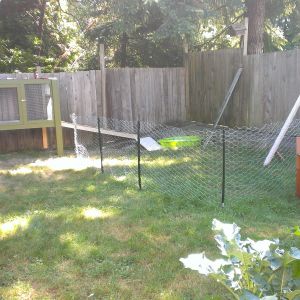 Our muscovy duck pen is almost ready!