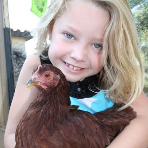 Kathryn and her pet chicken Buttercup.