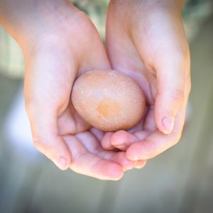 Our first egg!  I guess they didn't quite like the nesting boxes I made as this was found in our garage!