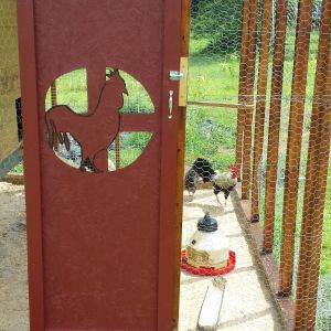 My daughter's rooster design on the door really looks good