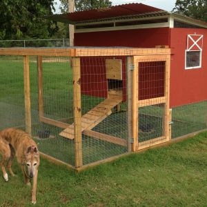 Here's the chicken tractor I adapted from the Kerr Center's (in Poteau, OK) chicken tractor.  Our 9 year old wanted it to look like a barn, so we painted it like that.