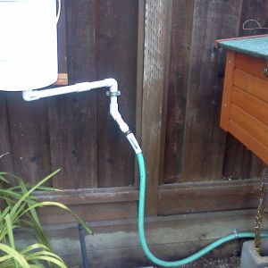 bucket for waterer connected by a flexible hose.